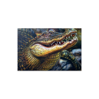 " Crocodile " by Derek Turcotte