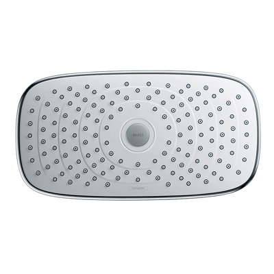 Pomme de douche Raindance