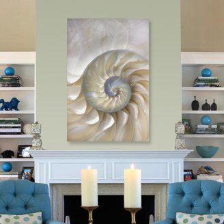 Sea Shell Swirl Print, 40" H x 60" W x 1.5" D