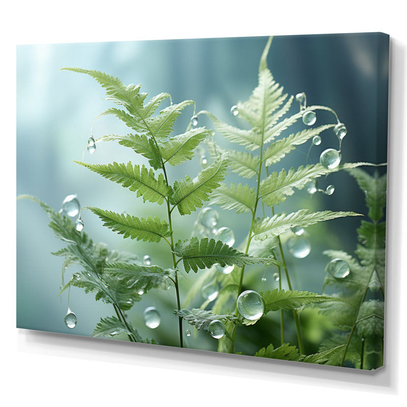 Ferns Plant Ethereal Whispers I - impression, Toile tendue, 16" H x 32" W