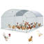 Poulailler avec couloir Darzell-88658572