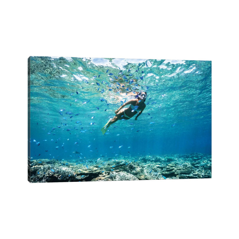 " Underwater Bikini Snorkeller Coral Reef Fish " by James Vodicka, 26" H x 40" W x 1.5" D