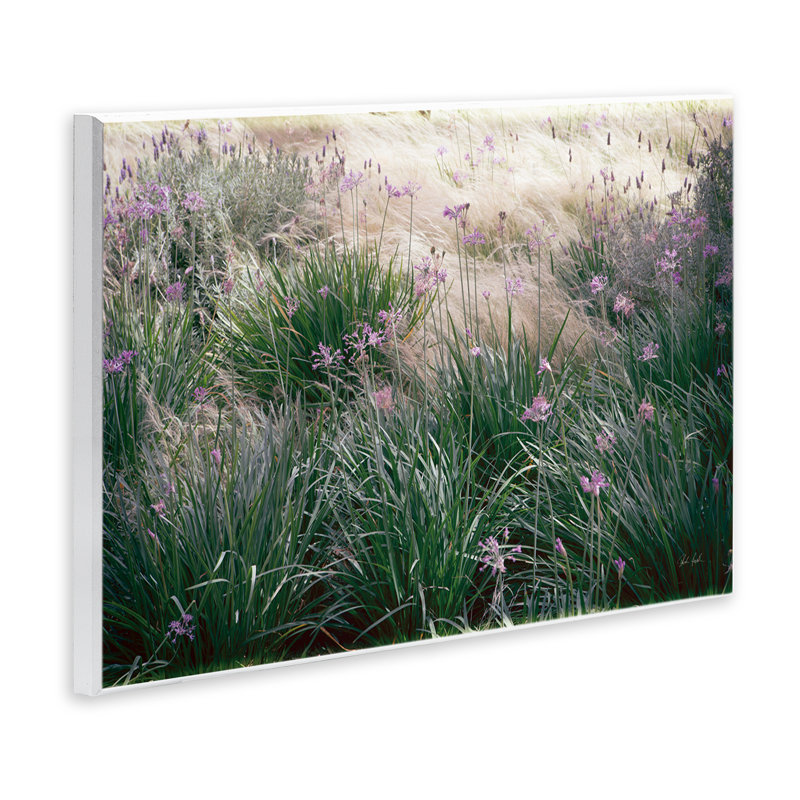 Art mural secret, prairie fleurie, par Deborah Revell, H 10 po x l 15 po