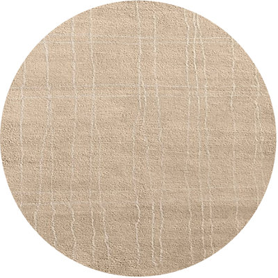 Indoor Rug