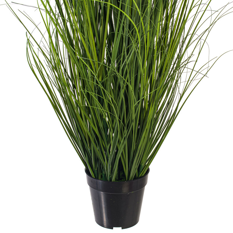  Herbe pour cheveux 48 po, 48"