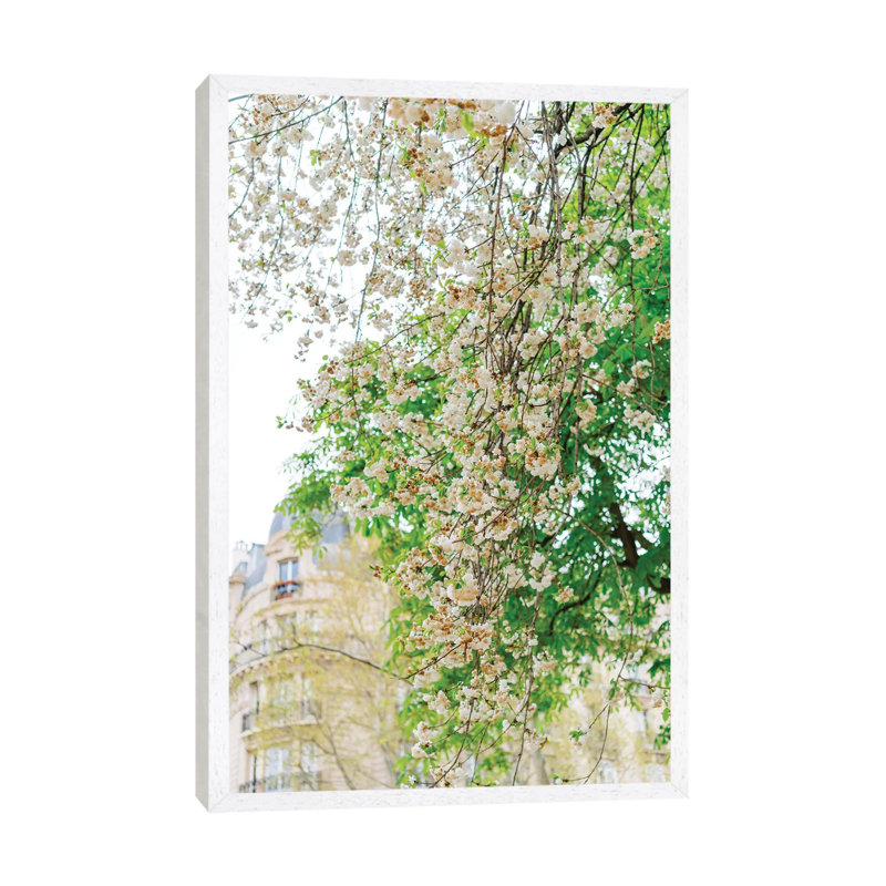 Paris Garden II by Bethany Young - Print on Canvas, White Framed, 101.6cm H x 66.04cm W x 3.81cm D