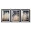FLORAL Series CDXVI - Impression encadrée sur mesure de qualité supérieure - 3 pièces-298494114-298494140