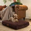 Slumberdown Paws for Slumber Raised Padded Dog Bed – Comfortable, Supportive & Durable Pet Bed for All Breeds-1864648488-1864648491