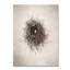 « nest i », reproduction de photo sur toile tendue-31454021