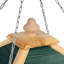 Geraldine Suspended