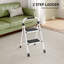 2 - Step Steel Folding Step Ladder-1233474154