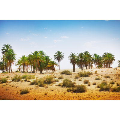 " Sahara Desert " by Wijixx
