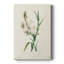 Traditional Botanical IV - Gallery Cavas-1895148204