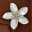 2" Plumeria Flower Medium Knob-126755985-39948783-104672780