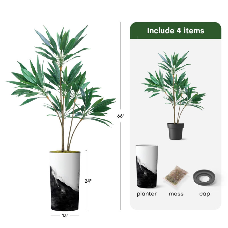66 plantes, Noir encre