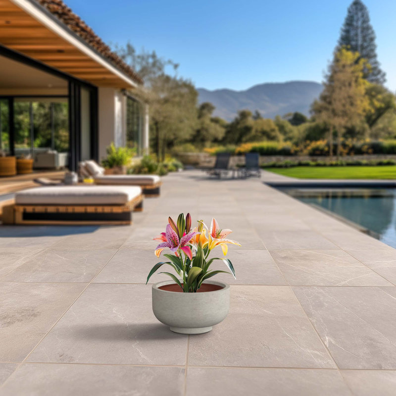 Grand pot à fleurs rond en béton avec trous de drainage (intérieur amélioré), H 7,87 po x l 13,78 po x P 13,78 po