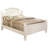 Penncross Standard Bed-19037669-19037670