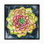 « succulent rosette iii », reproduction sur toile-32566955-72139845-72139850