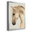 Golden Palomino II - reproduction de cadre photo simple-77237067-77237079
