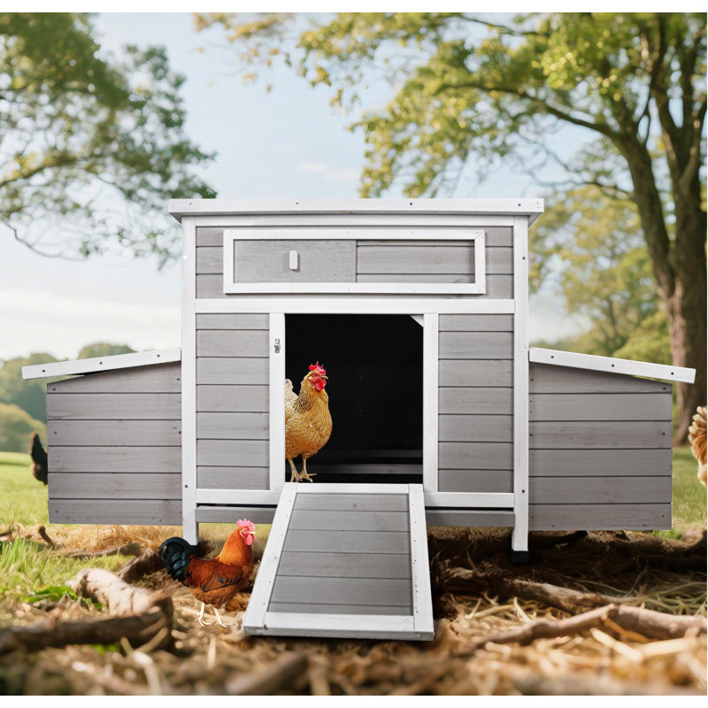 Grande cage à poules pour l'extérieur avec 2 boîtes de nidification