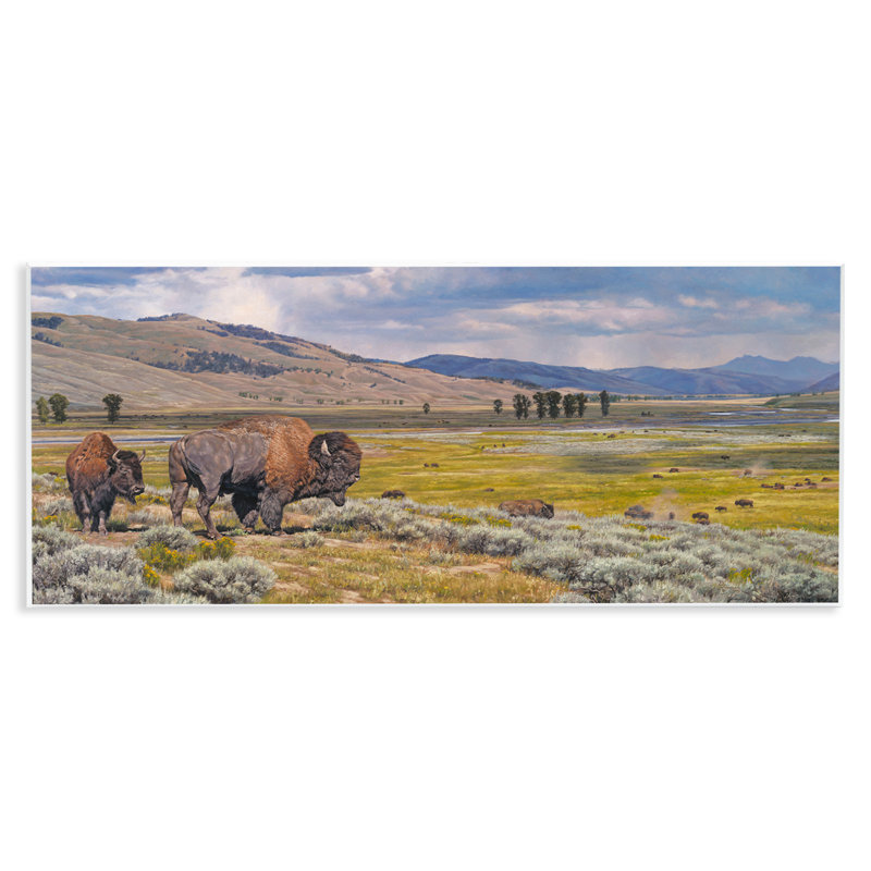 Art mural sur bison du sud-ouest itinérant par David Graham
