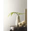 Papier peint Trabadillo-105614412