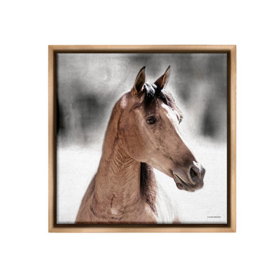 «Brown Foal In Snow Floater Frame» par Kari Brooks sur toile