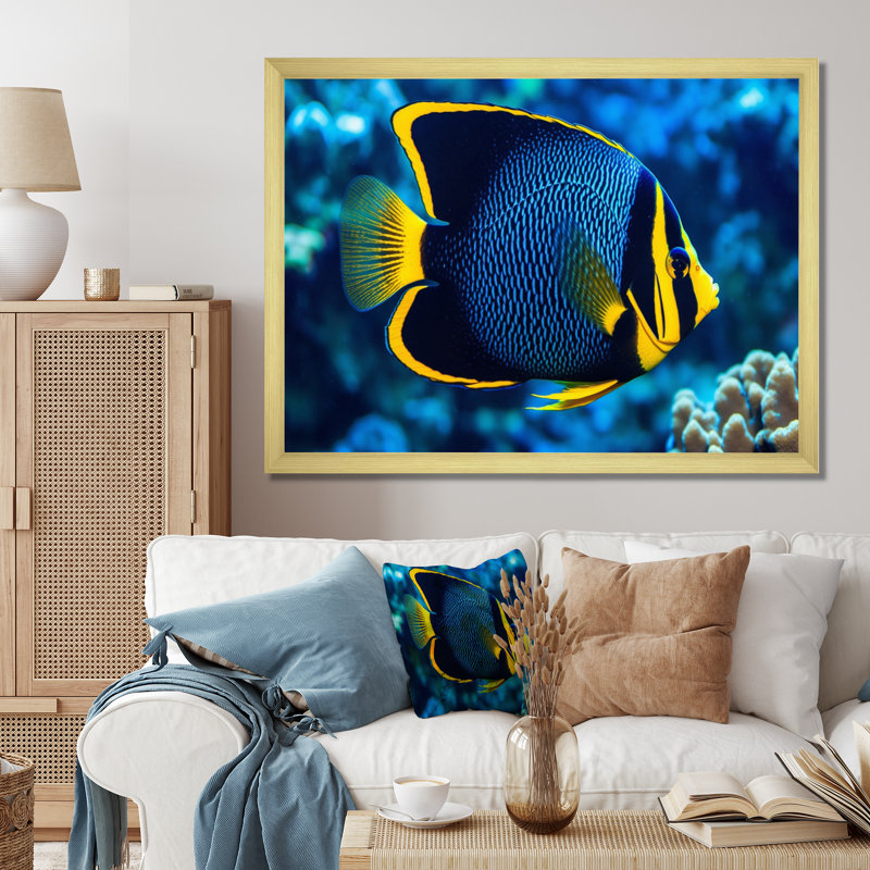 " Finned Fish Wonders II ", Gold Single Picture Framed, 12" H x 20" W x 1" D