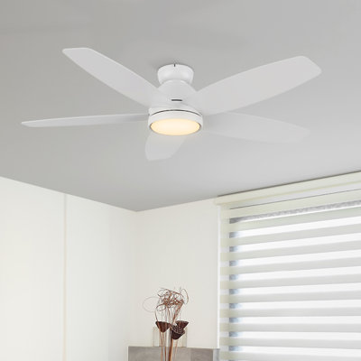 52'' Ceiling Fan with LED Lights