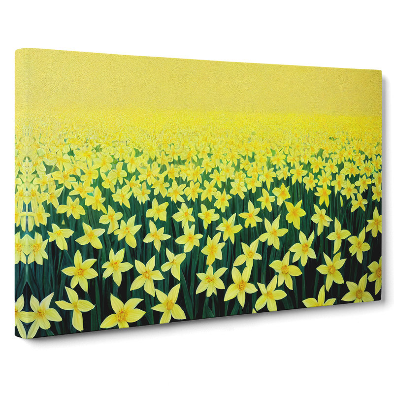 Daffodil Field - Wrapped Canvas Print, 35cm H x 50cm W x 3cm D
