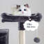 Arbre à chat à plusieurs niveaux pour condos à griffer et poteaux à griffer de 68 po Lima Pet-331331324