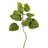 4' Artificial Potted Cotinus Coggygria Tree-1573849633