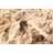 Sienna Brown Rug 5'3" x 7'9"
