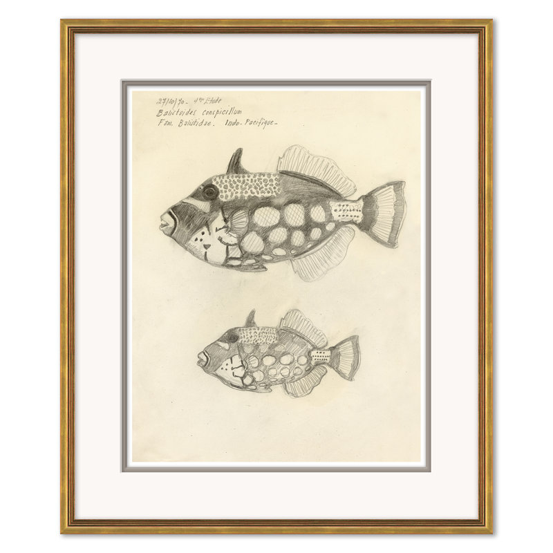 Odd Fish Giclee Print by Marcel Bourgeois