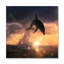 Dolphin Play Print-59012824-59012829