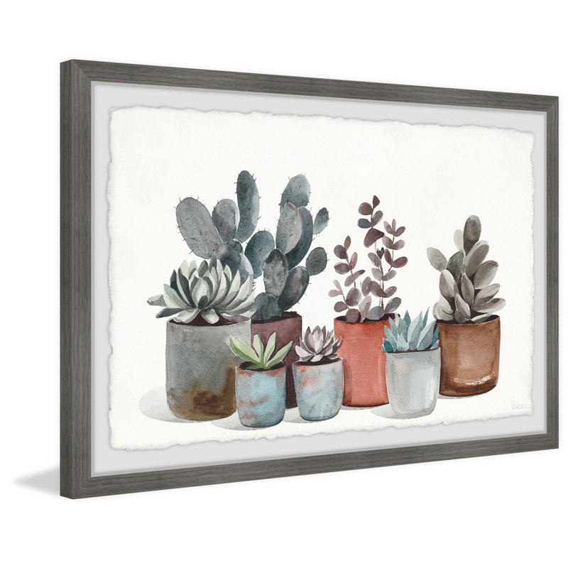 Succulent Plants Display by Parvez Taj - Single Picture Frame Painting, 20cm H x 30cm W