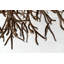 Sierra 6 - Light Chandelier