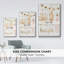 Collection Elegant Ornaments B-1267378508-1267378504
