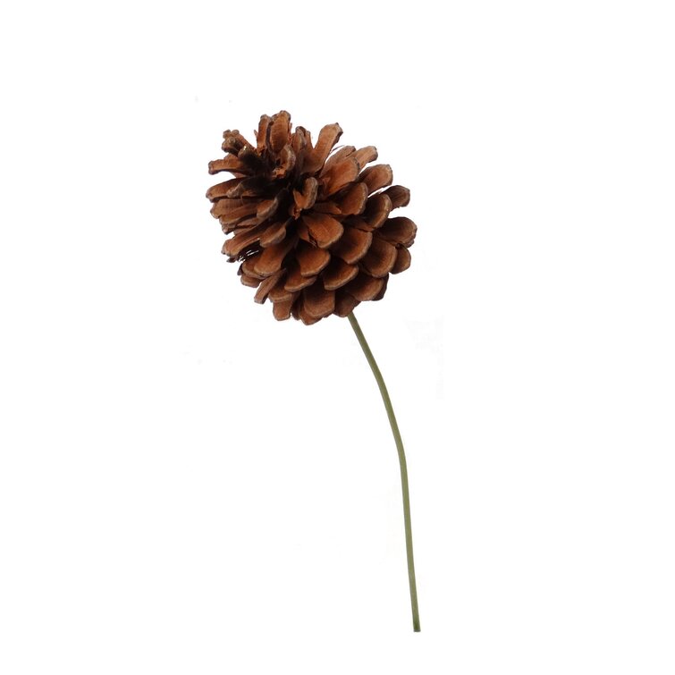 Set of 144 Lacquered Pine Cone Pick