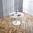 Plastic Dining Chair-1833650428