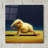 'Yoga Chick Bind' by Lucia Heffernan-1102703584