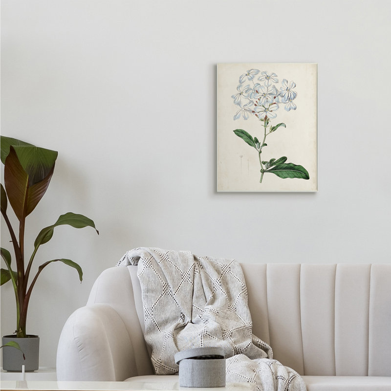 Étude florale rustique avec charmantes fleurs blanches de Curtis - impression, Bois naturel, H 19 po x l 13 po