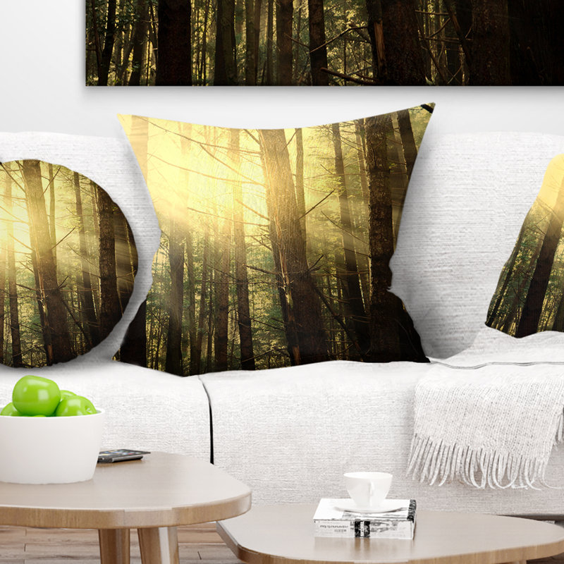 Coussin Schafer, 16 po x 16 po, Coussin décoratif