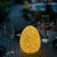 La lampe marguerite-125499958