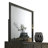 Carine II Mirror