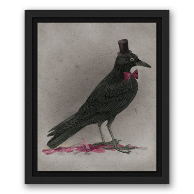 «Stylish Crow», impression