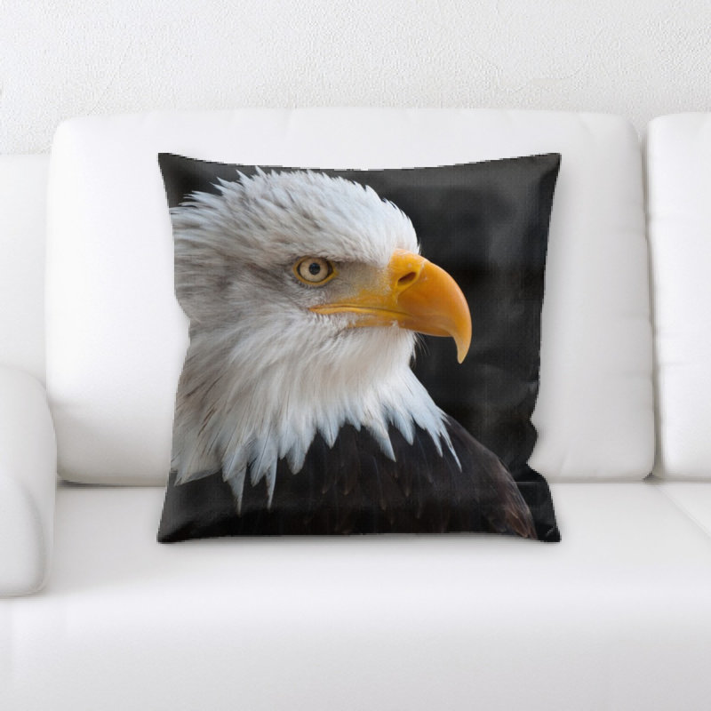 Coussin chauve eagles