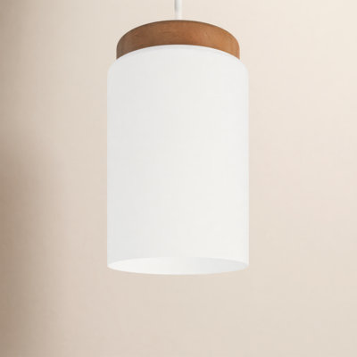 Donal Single Light Glass Dimmable Pendant