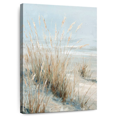 Coastal Dune Grass