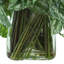 Scindapsus dans un vase en verre